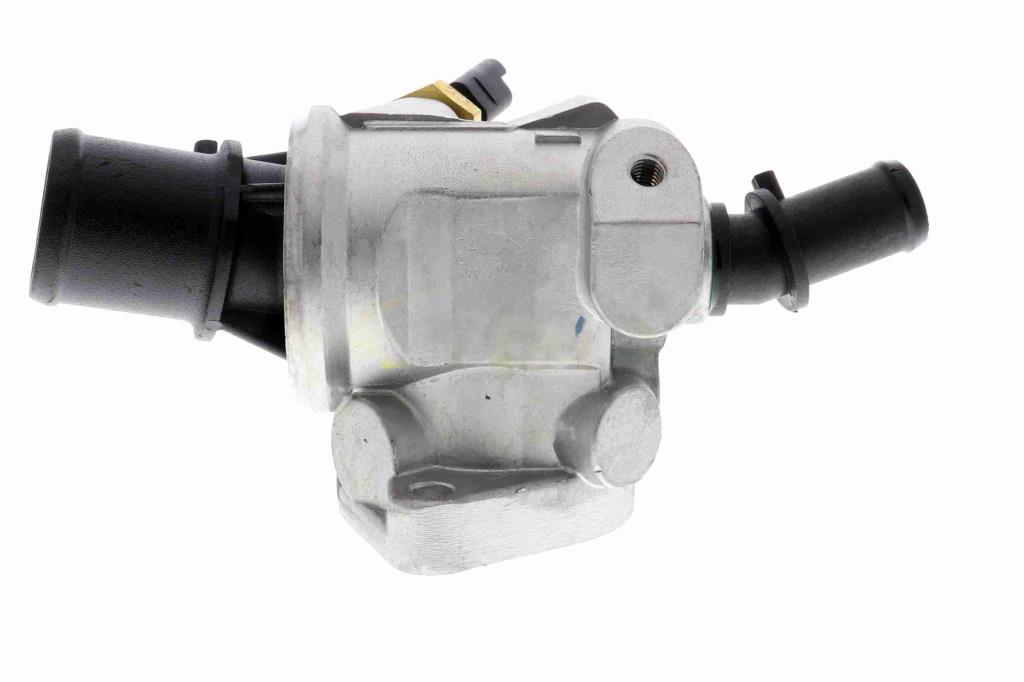 Thermostat d'eau (Calorstat) VEMO V24-99-0040