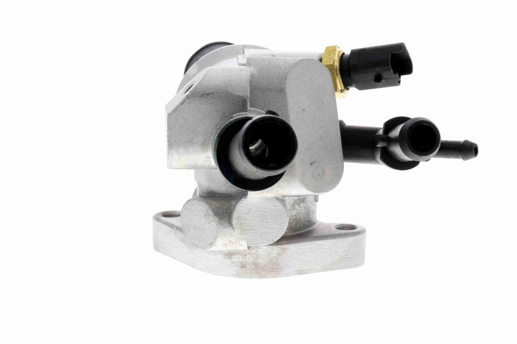 Thermostat d'eau (Calorstat) VEMO V24-99-0040