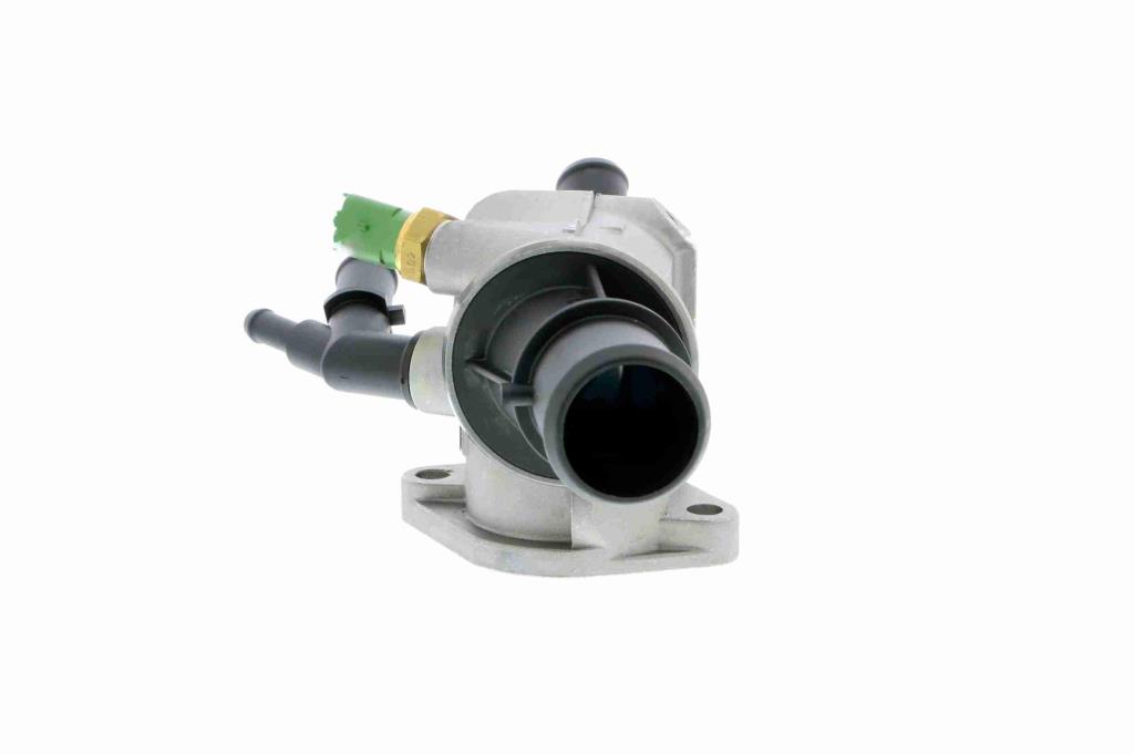 Thermostat d'eau (Calorstat) VEMO V24-99-0047