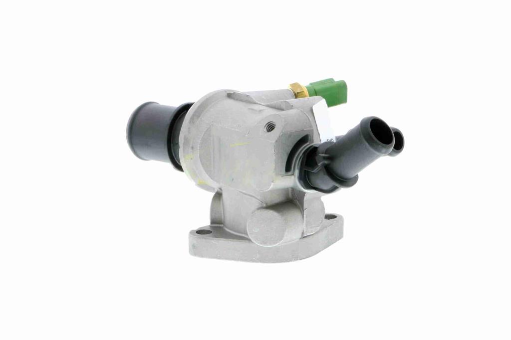 Thermostat d'eau (Calorstat) VEMO V24-99-0047