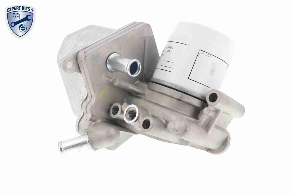 Radiador óleo motor VEMO ref. V25-60-0029