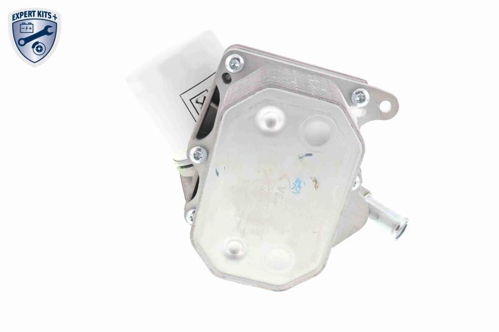 Radiador óleo motor VEMO ref. V25-60-0029