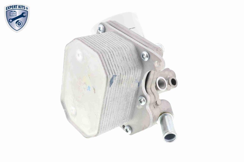 Radiador óleo motor VEMO ref. V25-60-0029