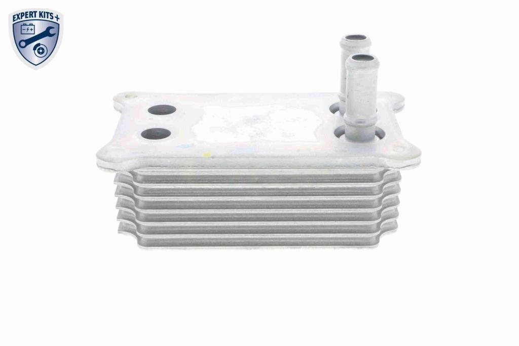 Radiador óleo motor VEMO ref. V25-60-0031