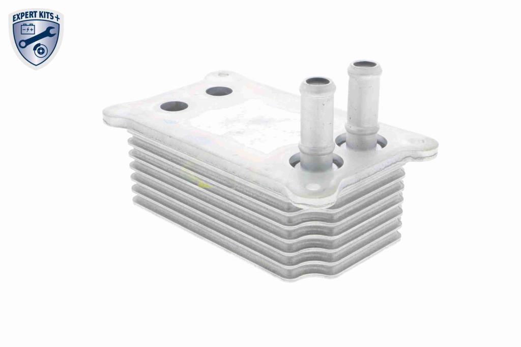 Radiador óleo motor VEMO ref. V25-60-0031