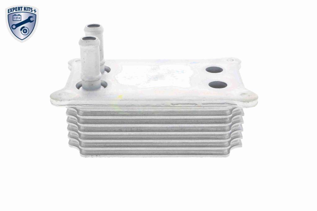 Radiador óleo motor VEMO ref. V25-60-0031