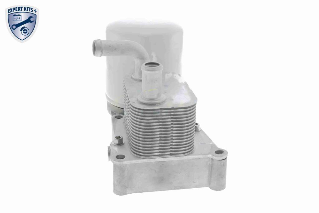 Radiador óleo motor VEMO ref. V25-60-0032