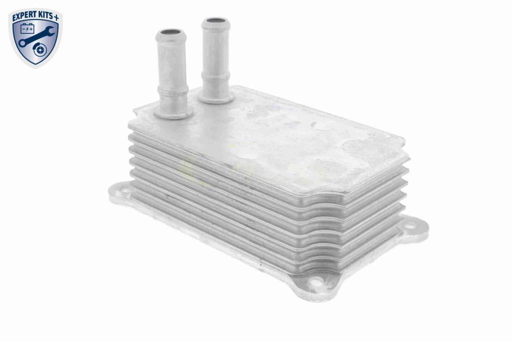 Radiador óleo motor VEMO ref. V25-60-0033