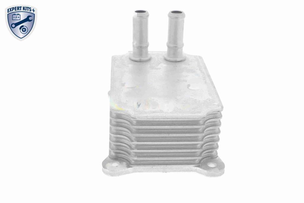 Radiador óleo motor VEMO ref. V25-60-0033