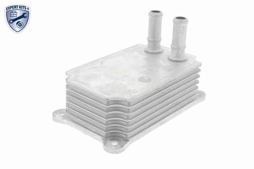 Radiador óleo motor VEMO ref. V25-60-0033