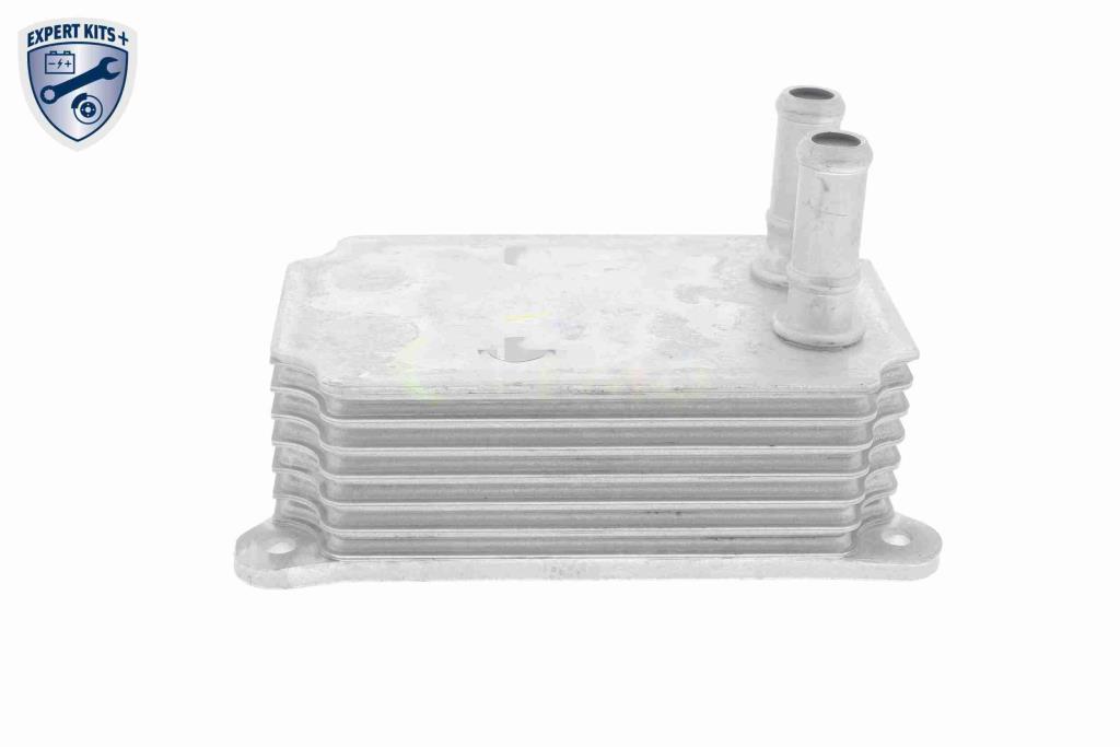 Radiador óleo motor VEMO ref. V25-60-0033
