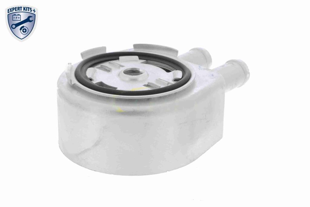 Radiador óleo motor VEMO ref. V25-60-0034