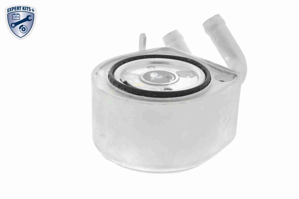 Radiador óleo motor VEMO ref. V25-60-0035