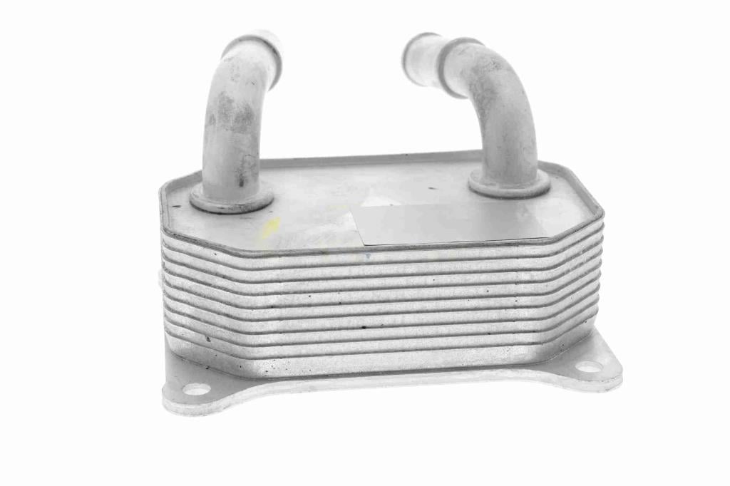 Radiador óleo motor VEMO ref. V25-60-0041