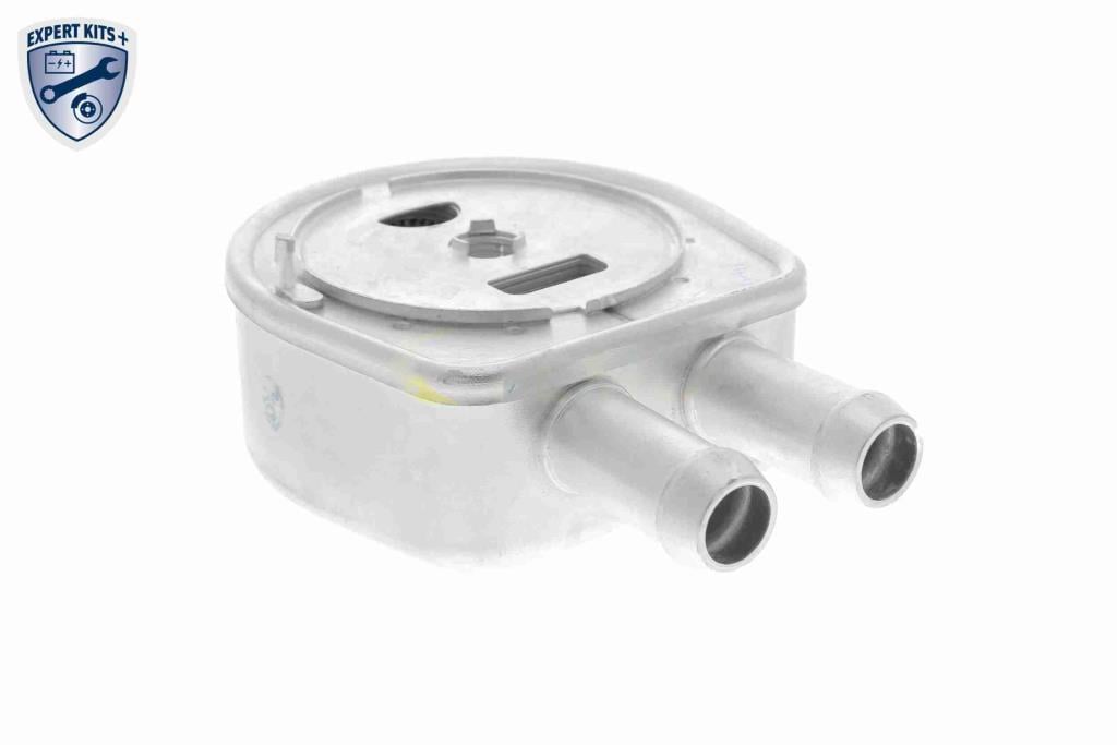 Radiador óleo motor VEMO ref. V25-60-0047