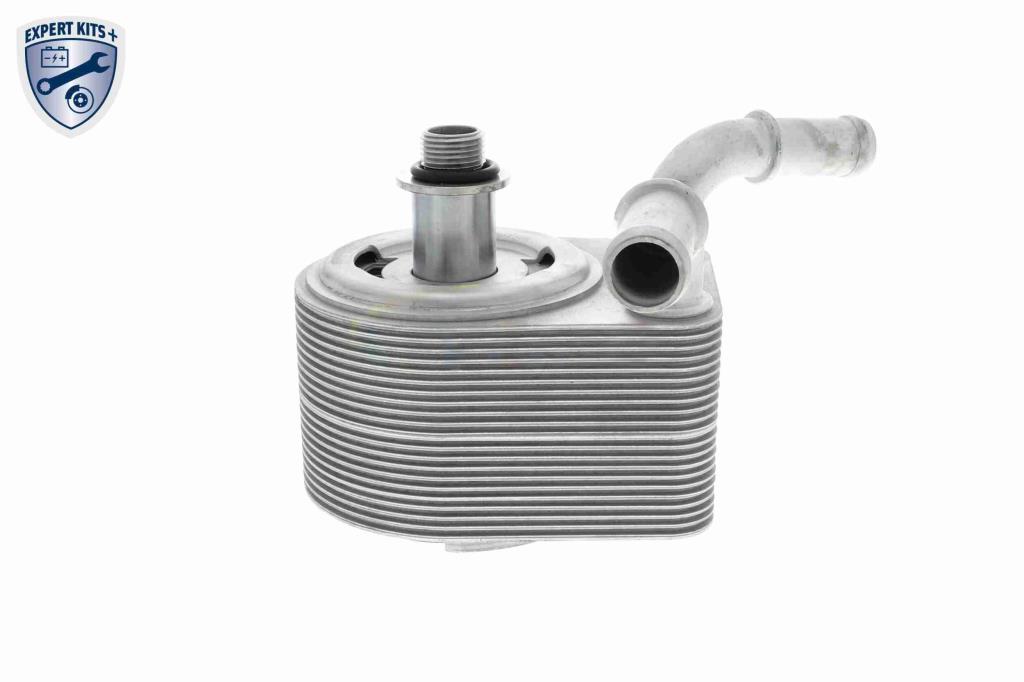 Radiador óleo motor VEMO ref. V25-60-0049