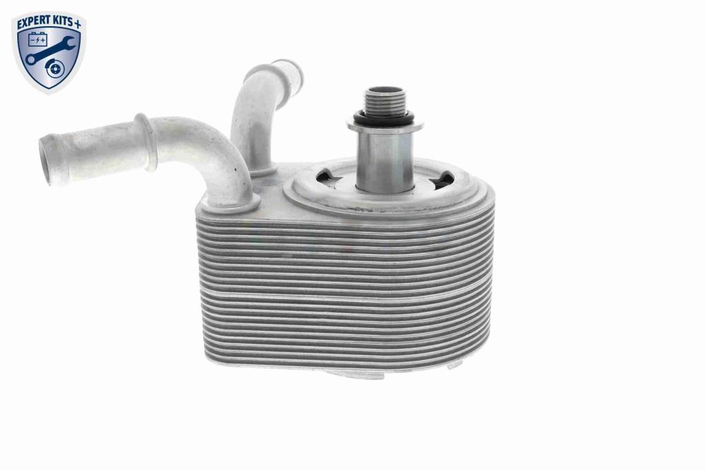 Radiador óleo motor VEMO ref. V25-60-0049