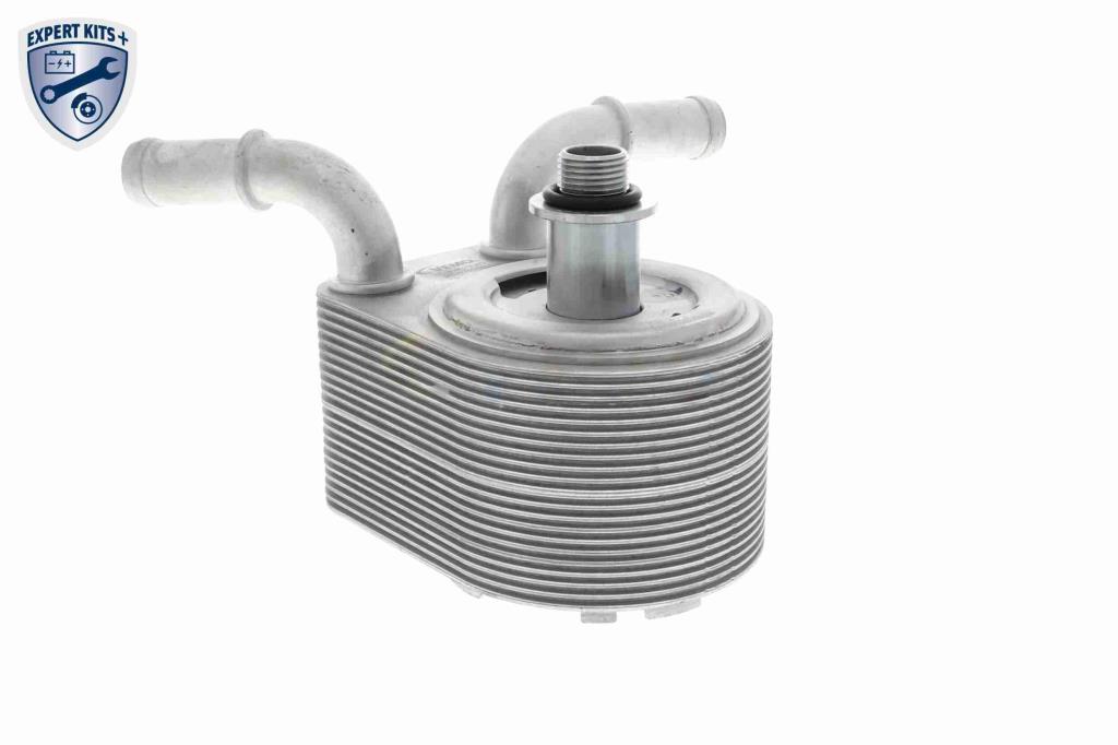 Radiador óleo motor VEMO ref. V25-60-0049