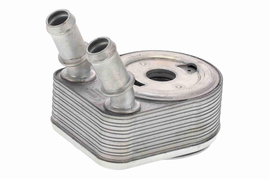 Radiador óleo motor VEMO ref. V25-60-0096