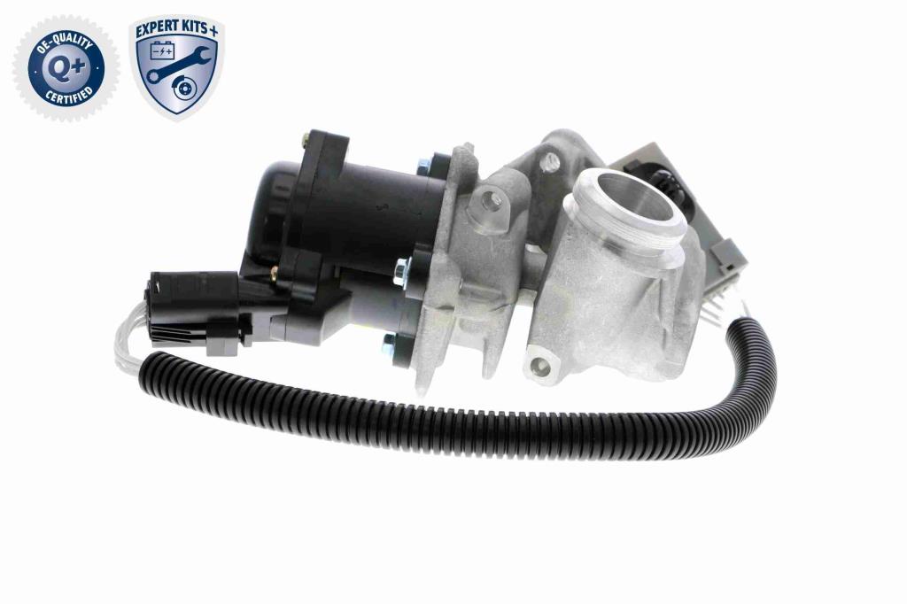 Válvula EGR VEMO ref. V25-63-0009