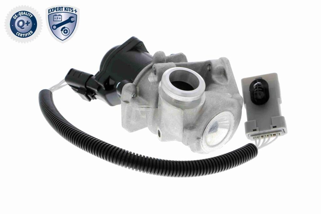 Válvula EGR VEMO ref. V25-63-0009