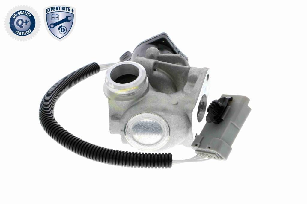 Válvula EGR VEMO ref. V25-63-0009