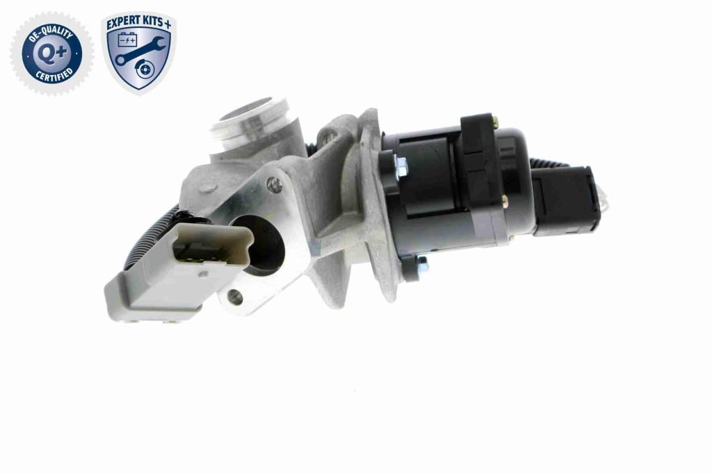 Válvula EGR VEMO ref. V25-63-0009