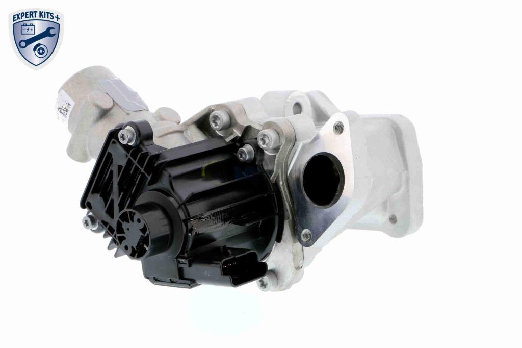 Válvula EGR VEMO ref. V25-63-0015