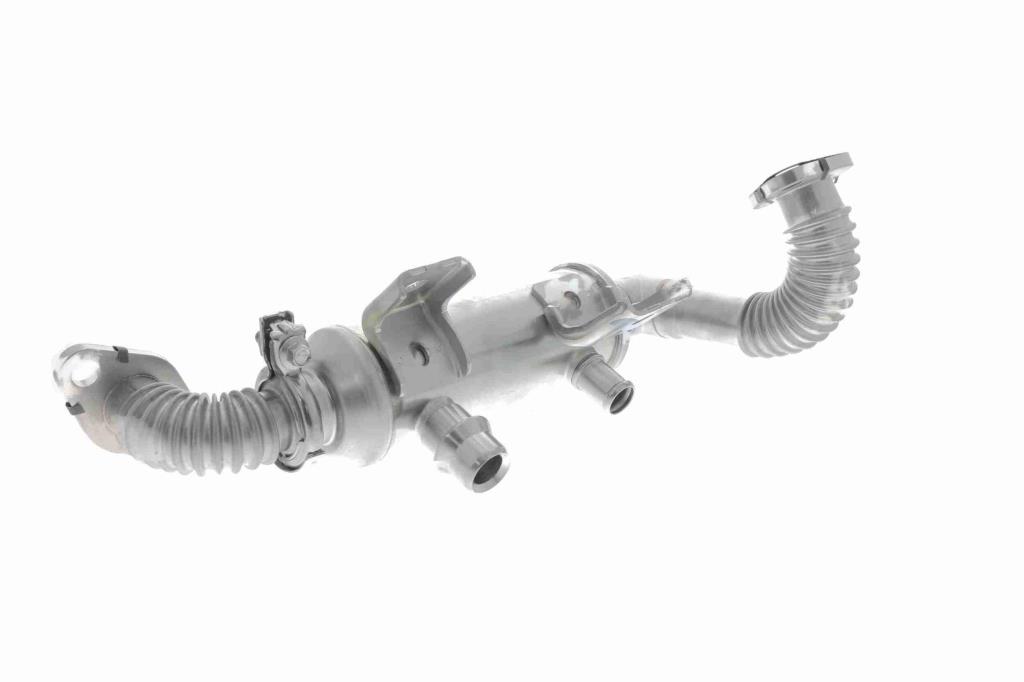 Radiateur, réaspiration des gaz d'échappement VEMO ref. V25-63-0043