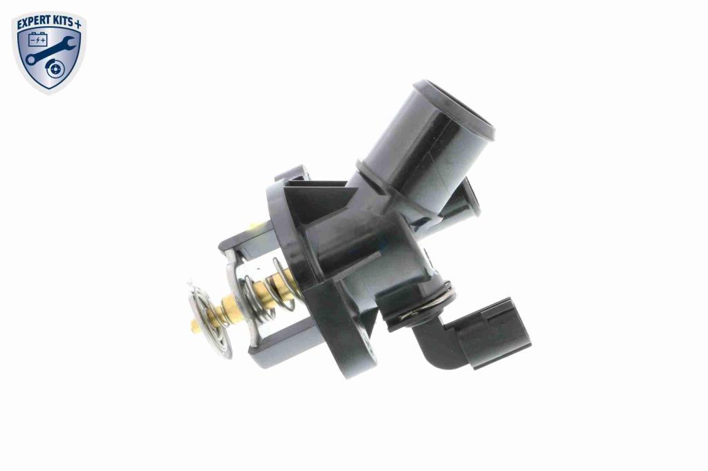Thermostat d'eau (Calorstat) VEMO V25-99-1703