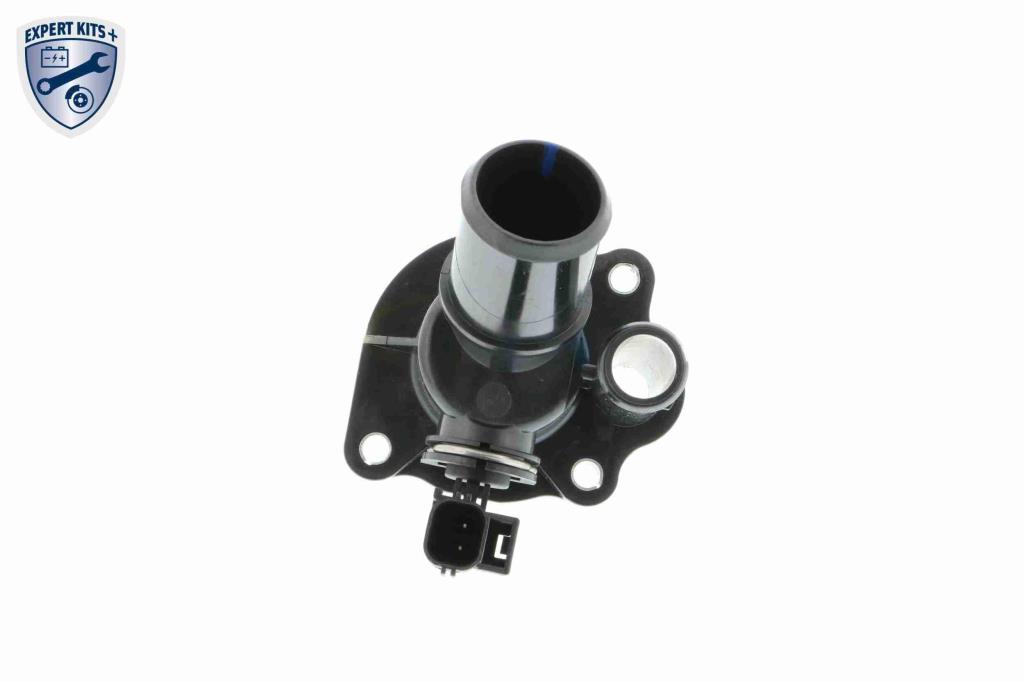 Thermostat d'eau (Calorstat) VEMO V25-99-1703