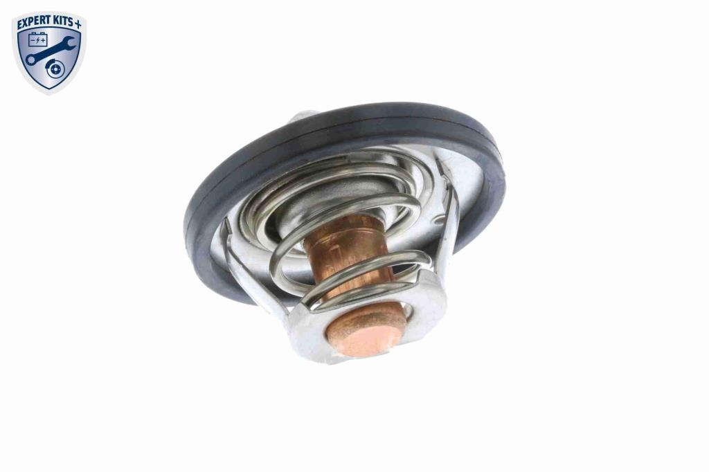 Thermostat d'eau (Calorstat) VEMO V25-99-1706