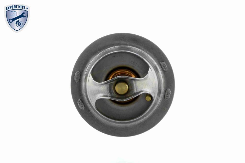Thermostat d'eau (Calorstat) VEMO V25-99-1709
