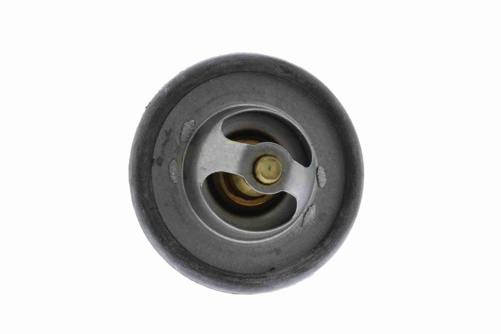 Thermostat d'eau (Calorstat) VEMO V25-99-1721