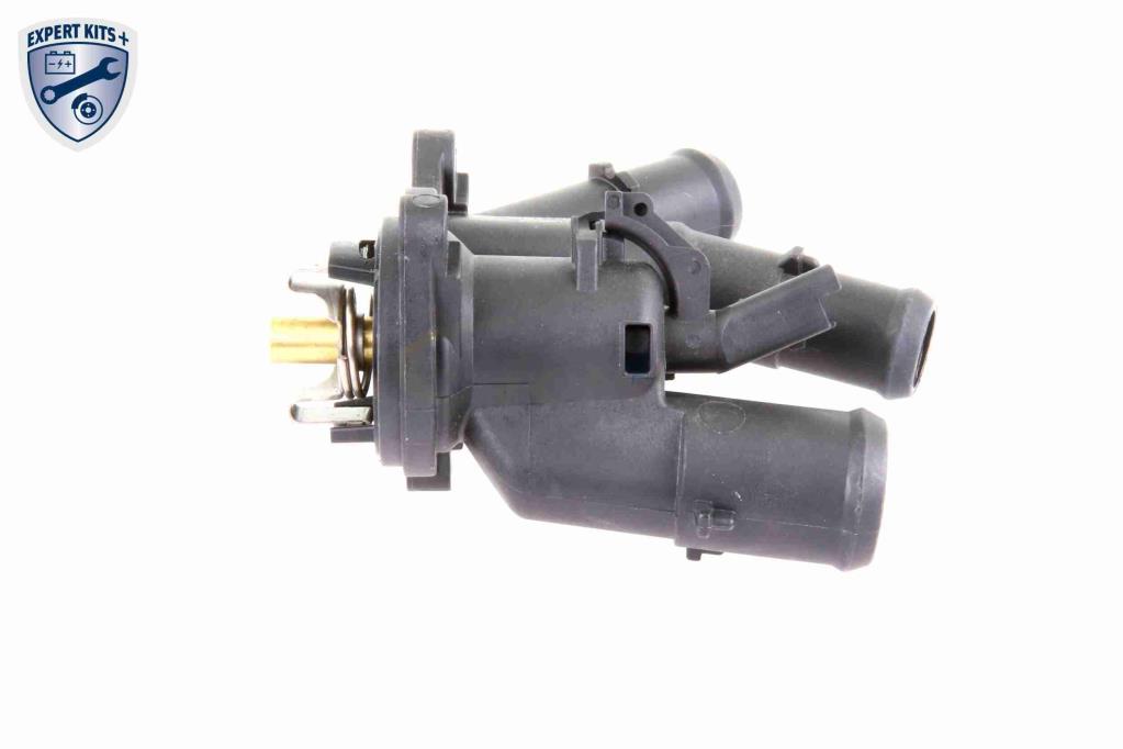 Thermostat d'eau (Calorstat) VEMO V25-99-1727