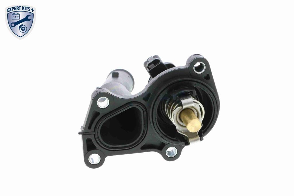 Thermostat d'eau (Calorstat) VEMO V25-99-1728