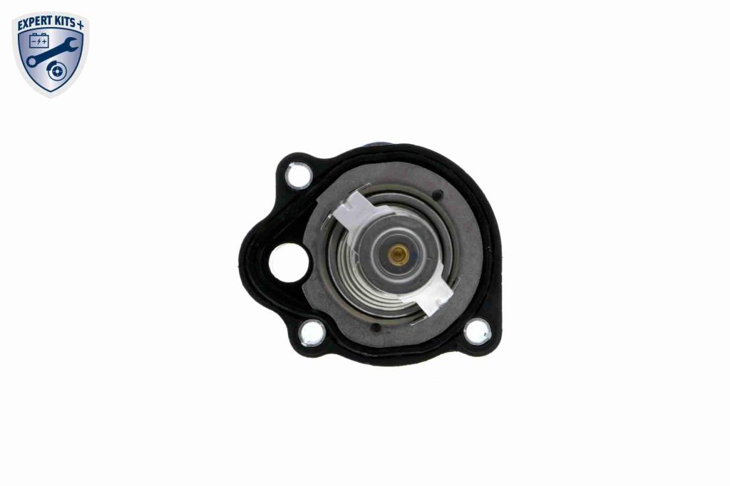 Thermostat d'eau (Calorstat) VEMO V25-99-1732