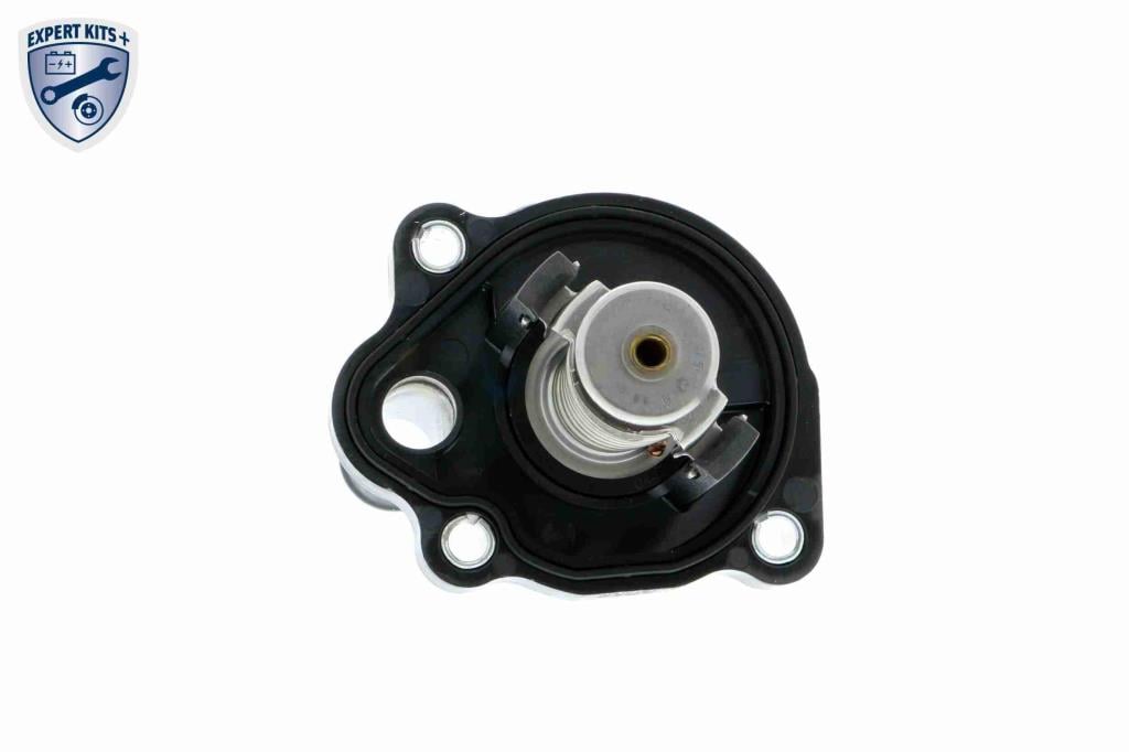 Thermostat d'eau (Calorstat) VEMO ref. V25-99-1737