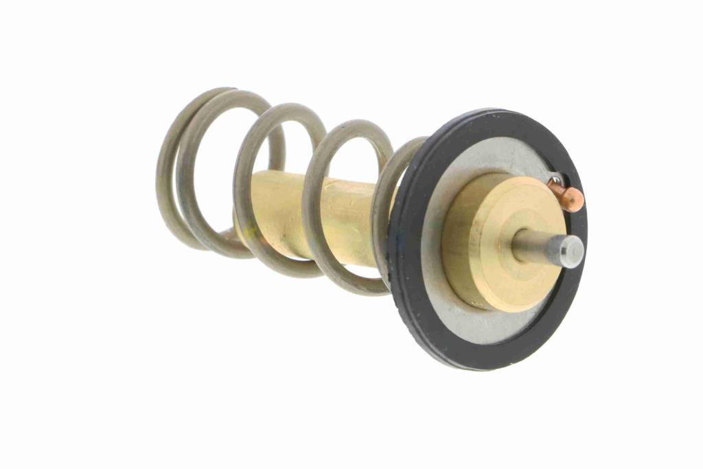 Thermostat d'eau (Calorstat) VEMO V25-99-1753