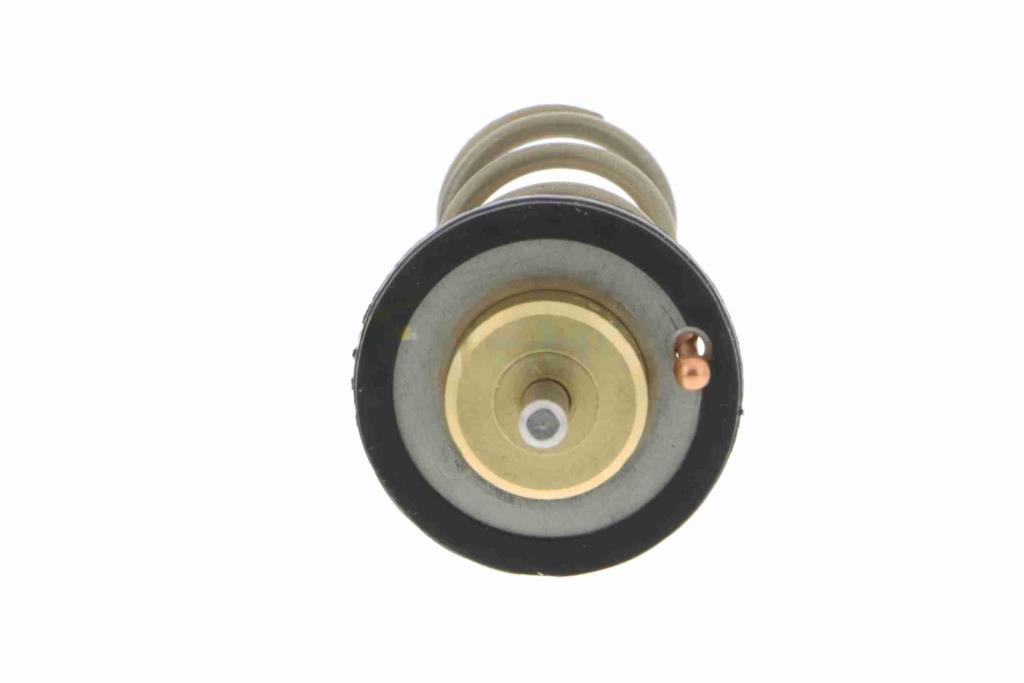 Thermostat d'eau (Calorstat) VEMO V25-99-1753