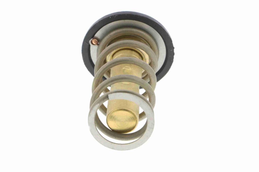 Thermostat d'eau (Calorstat) VEMO V25-99-1753