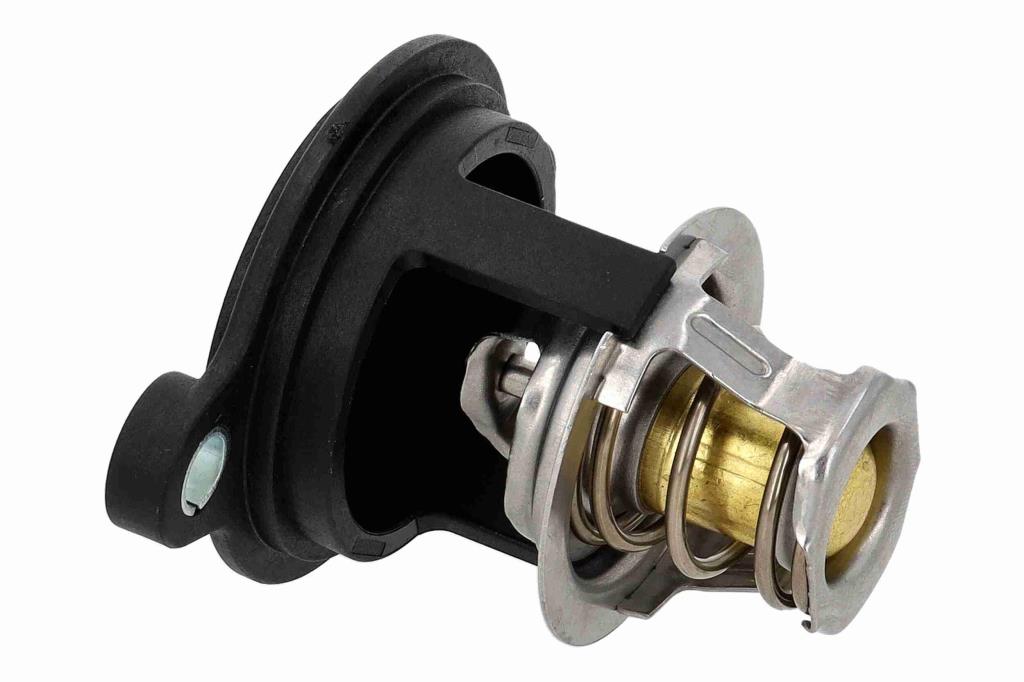 Thermostat d'eau (Calorstat) VEMO V25-99-1775