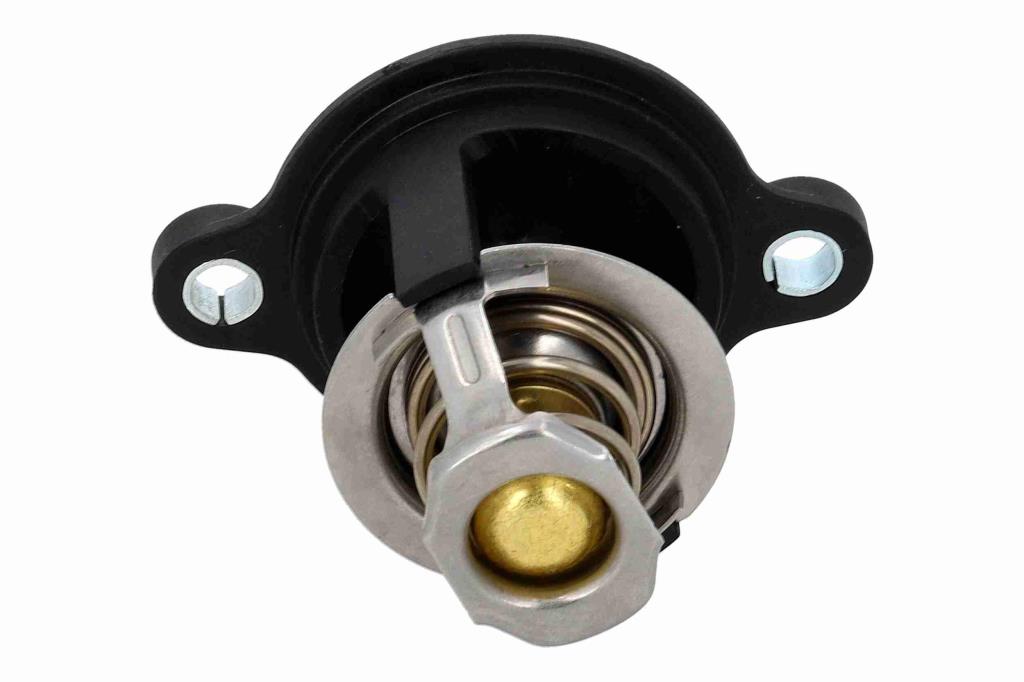 Thermostat d'eau (Calorstat) VEMO V25-99-1775