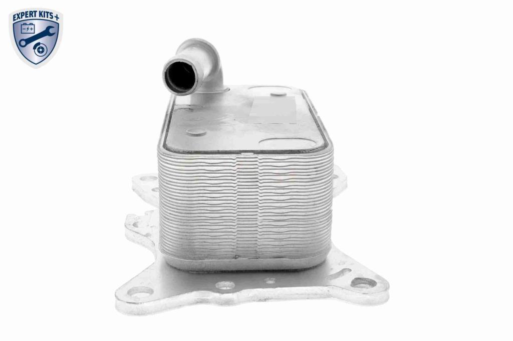 Radiador óleo motor VEMO ref. V30-60-0007