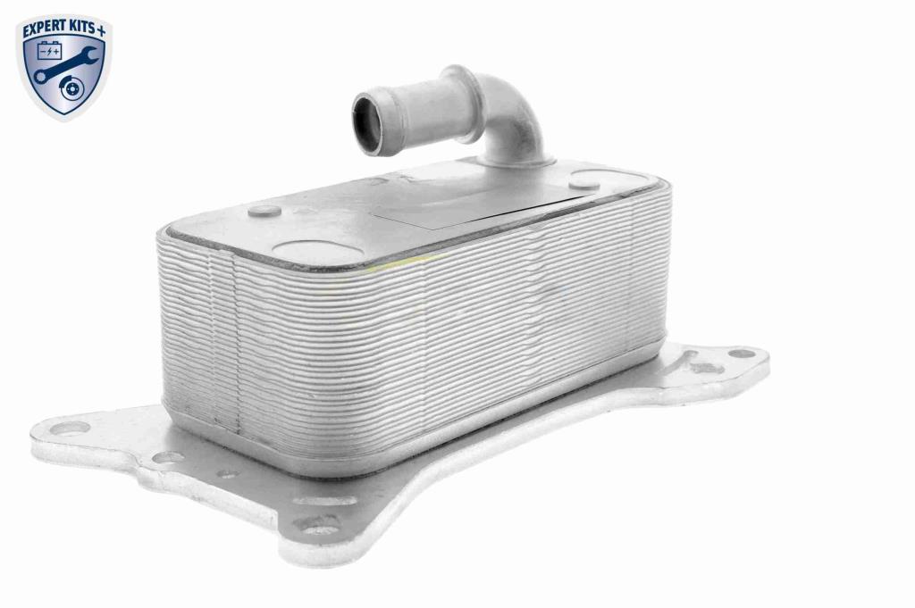 Radiador óleo motor VEMO ref. V30-60-0007