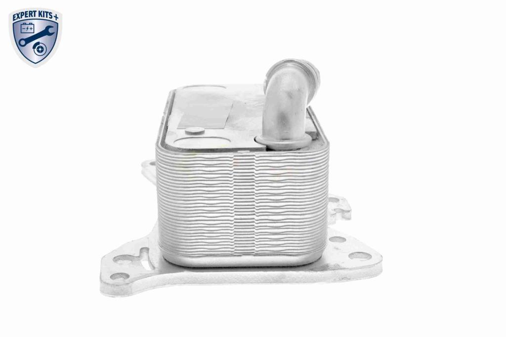 Radiador óleo motor VEMO ref. V30-60-0007