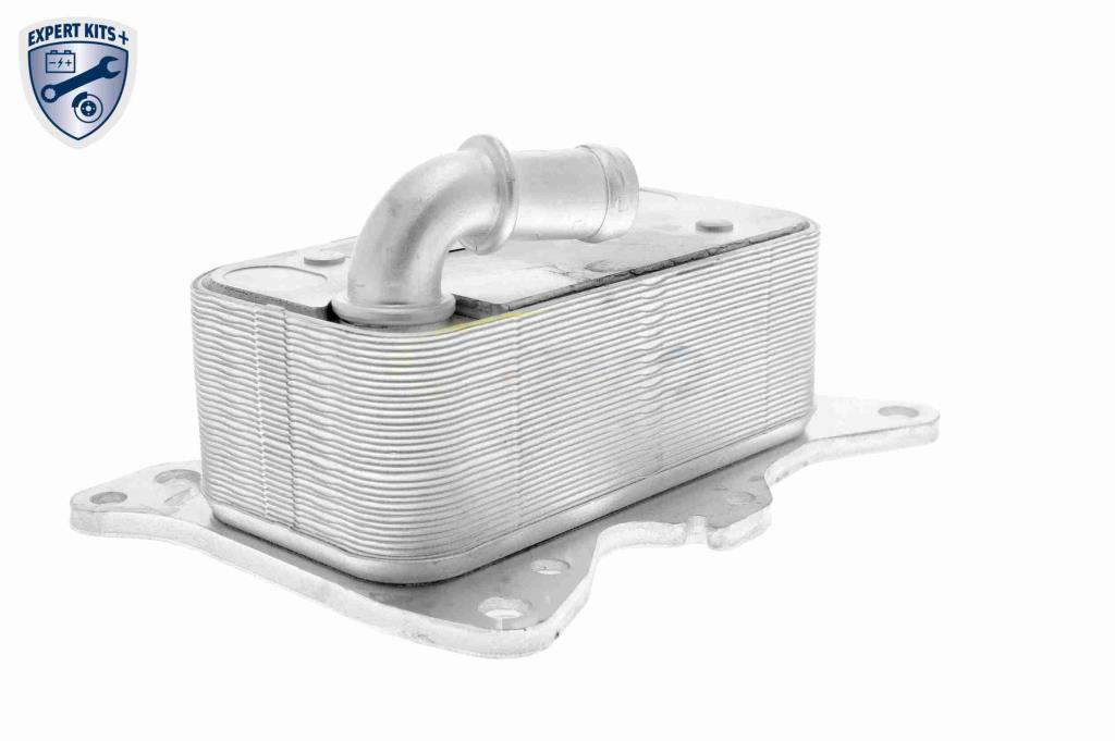 Radiador óleo motor VEMO ref. V30-60-0007