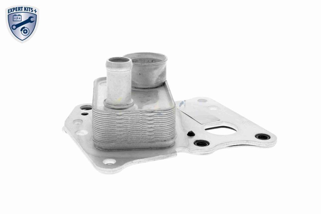 Radiador óleo motor VEMO ref. V30-60-0008