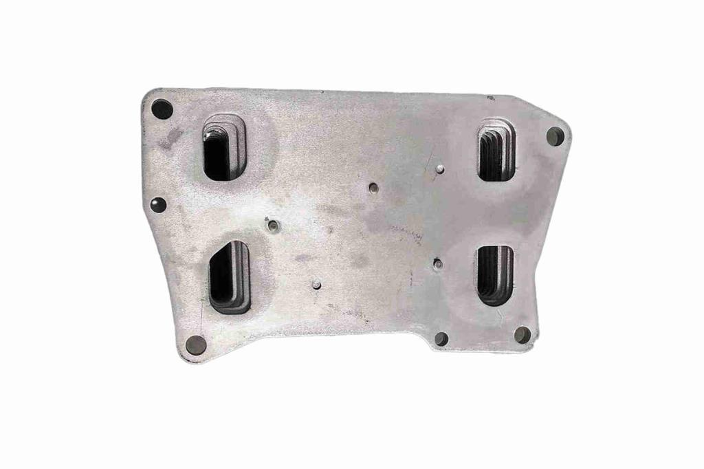 Radiador óleo motor VEMO ref. V30-60-0037