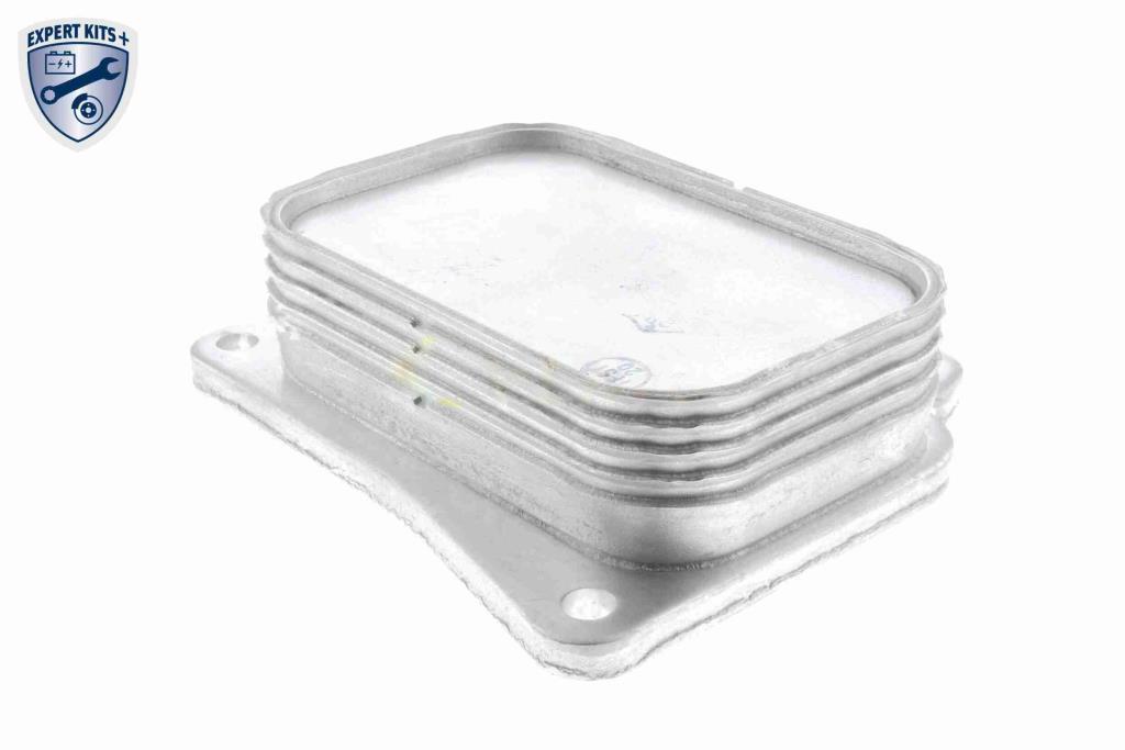Radiador óleo motor VEMO ref. V30-60-1313